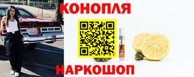 индика Бердск